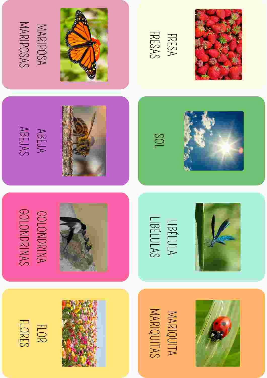 Vocabulario primavera
