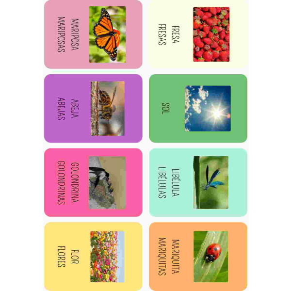Vocabulario primavera