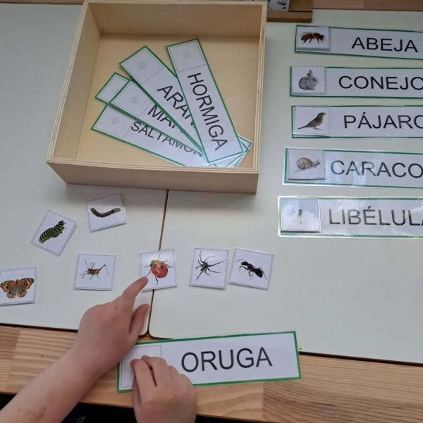 Animales Primavera