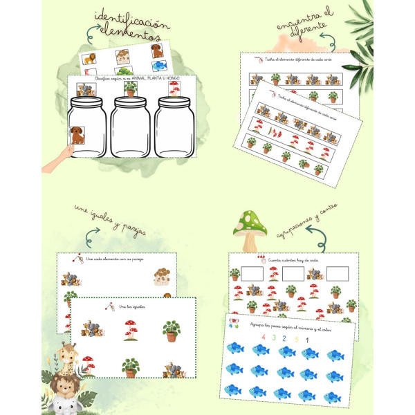Cuaderno TEACCH de los SERES VIVOS
