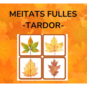 MEITATS fulles TARDOR