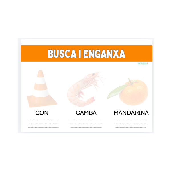 Els colors