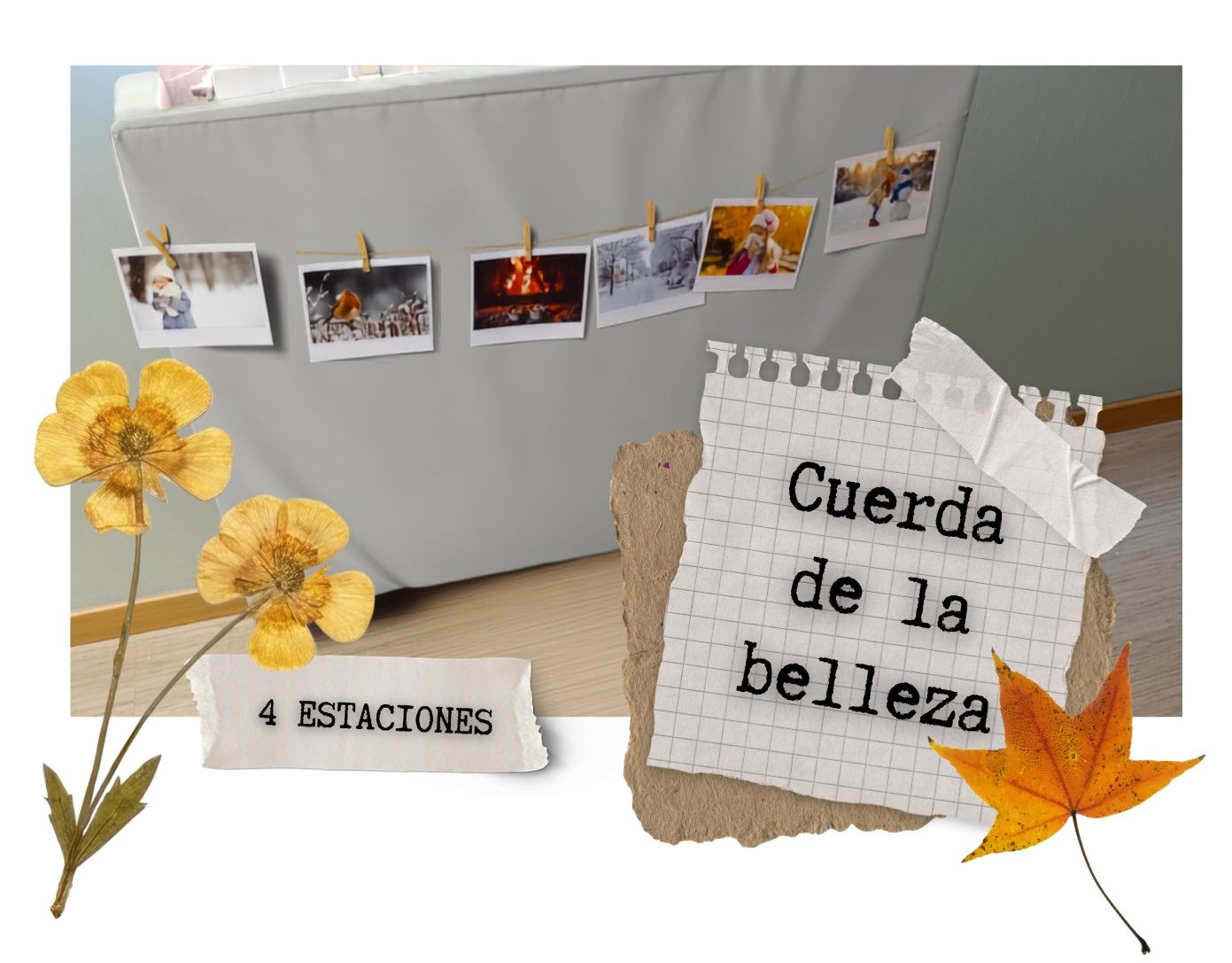 Cuerda de la belleza
