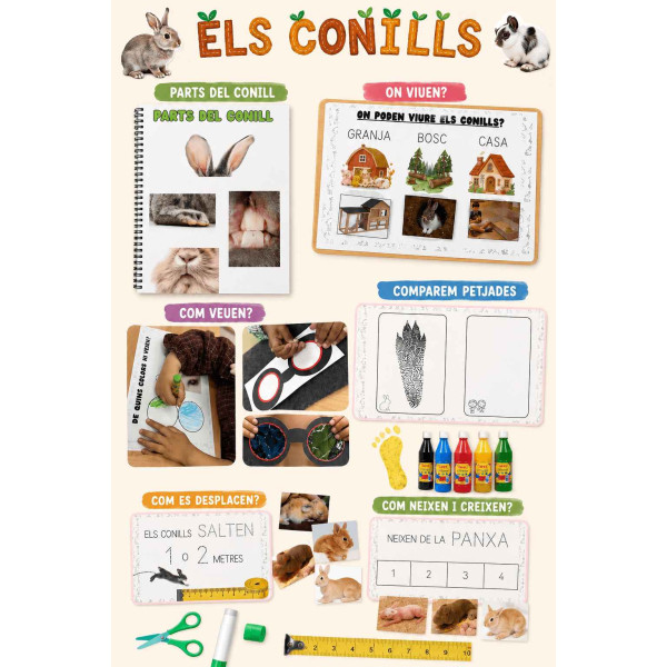 Projecte conills / Proyecto conejos
