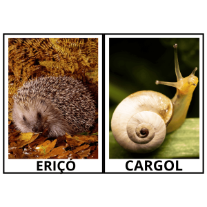 Vocabulari de tardor