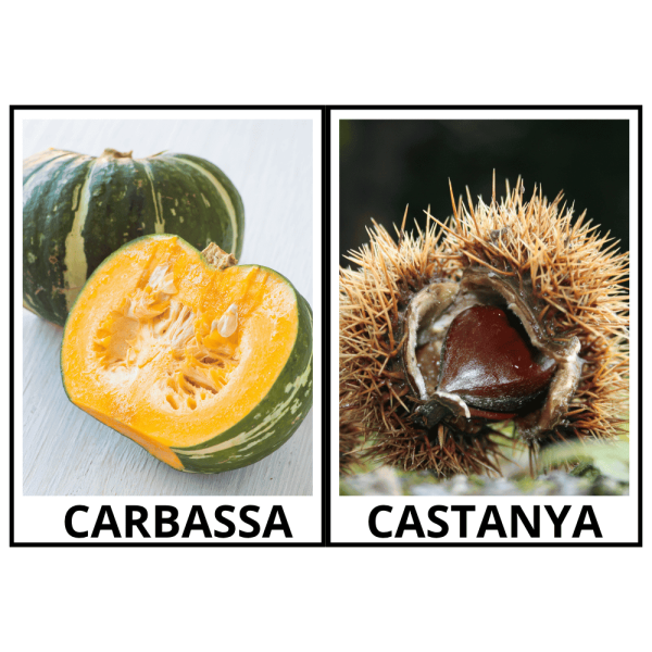 Vocabulari de tardor