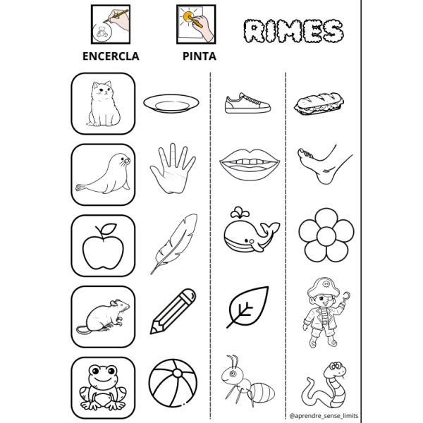 FITXA RIMES