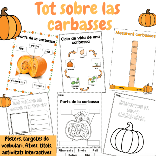 Tot sobre les carbasses