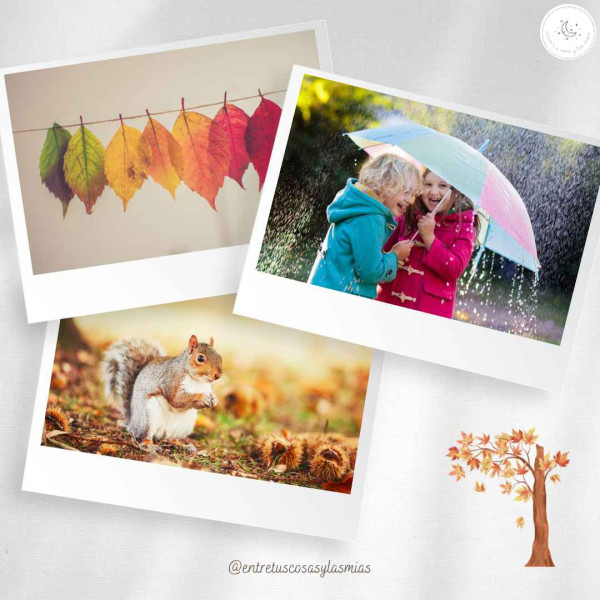 Cuerda de la belleza Otoño 1