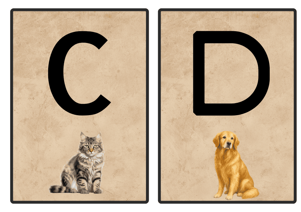 Alphabet