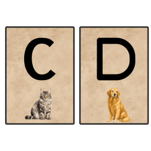 Alphabet