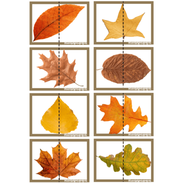 Mitades otoño