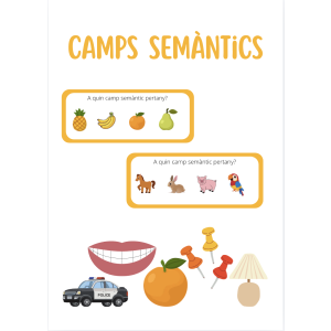 Camps semàntics