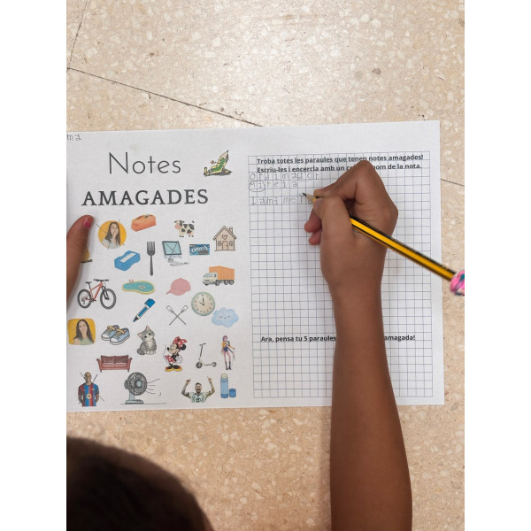 NOTES AMAGADES