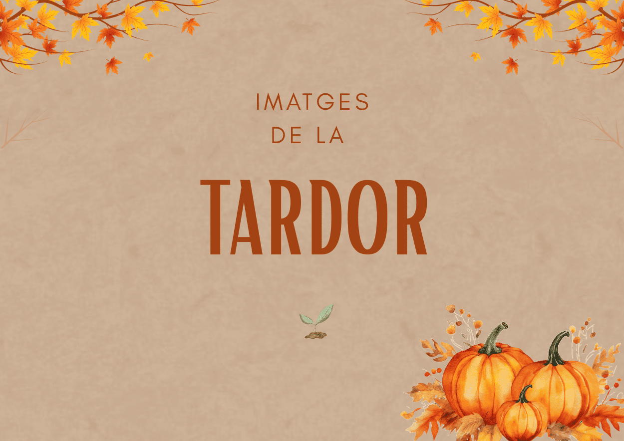 Imatges de la tardor