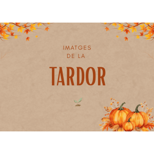 Imatges de la tardor