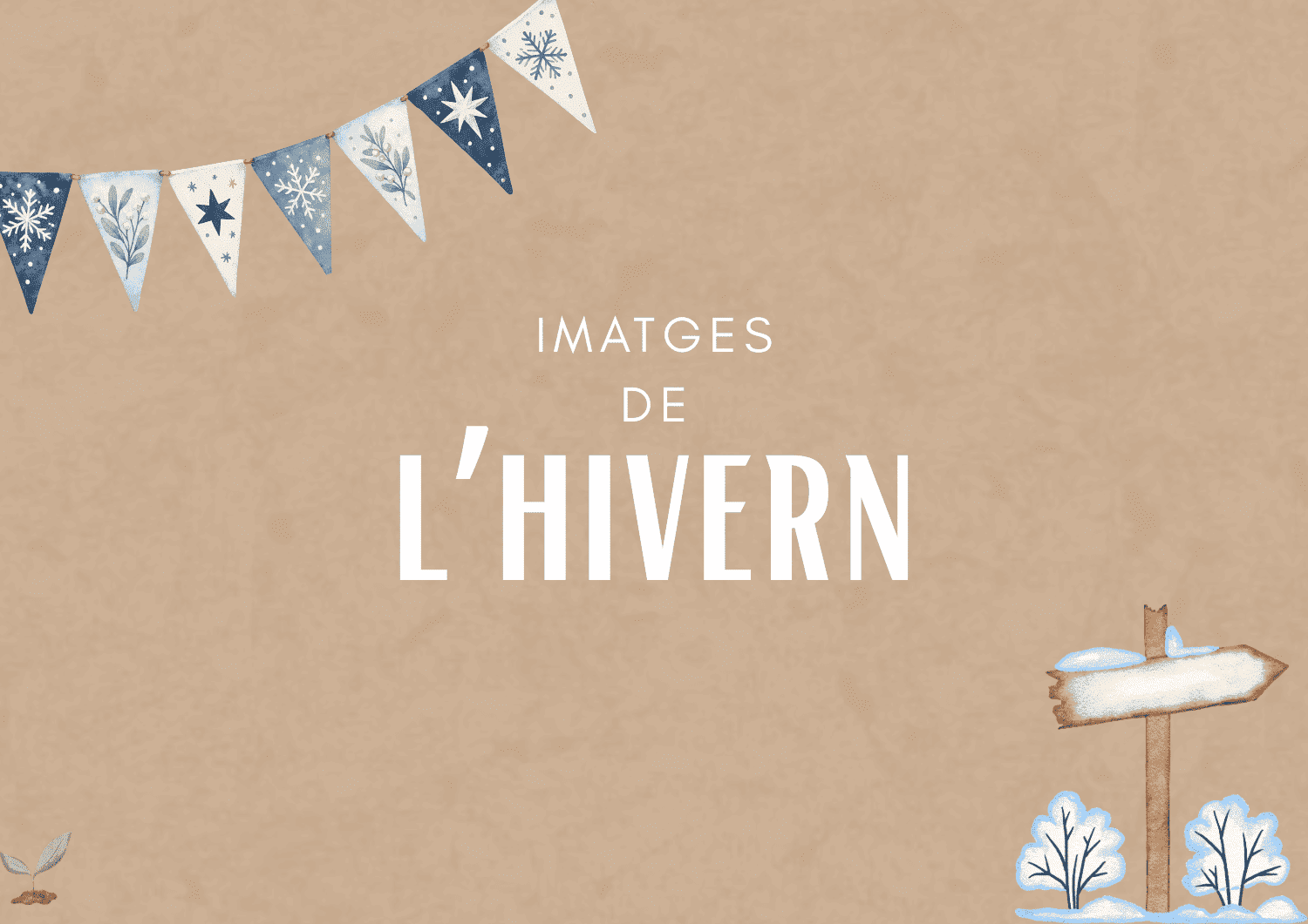 Imatges d'hivern