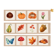 zo-th-1