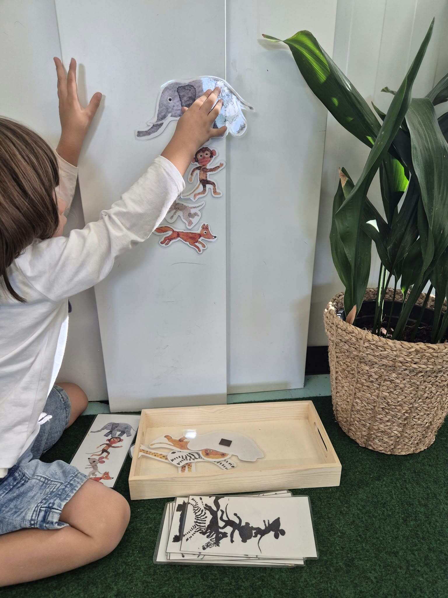 A QUÉ SABE LA LUNA. IDENTIFICACIÓN DE SOMBRAS